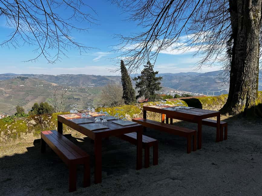 Douro Valley: A Sensory Experience in the Douro: Wines, Olive Oil, and History - Practical tips so you enjoy it more