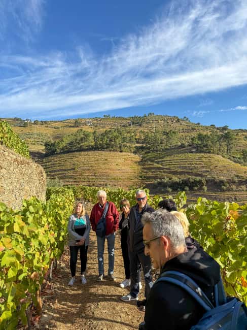 Douro Valley: Olive Oil & Wine Tour with Boat & Lunch - Key highlights worth planning around