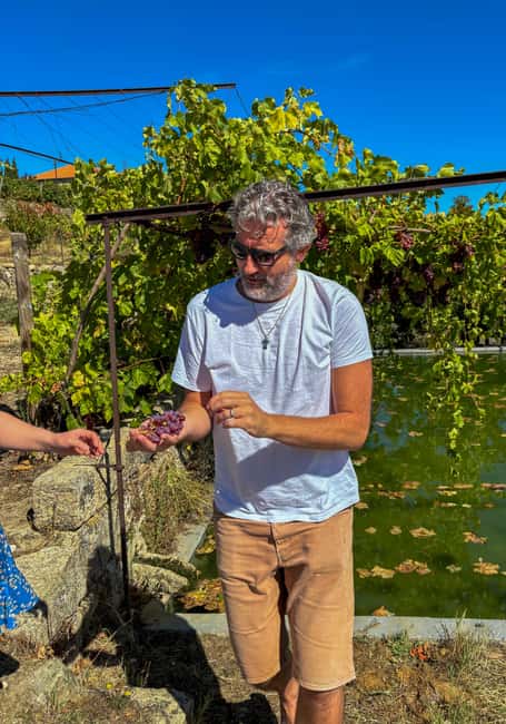 Douro Valley: Olive Oil & Wine Tour with Boat & Lunch - Hidden photo moments and why the pace matters