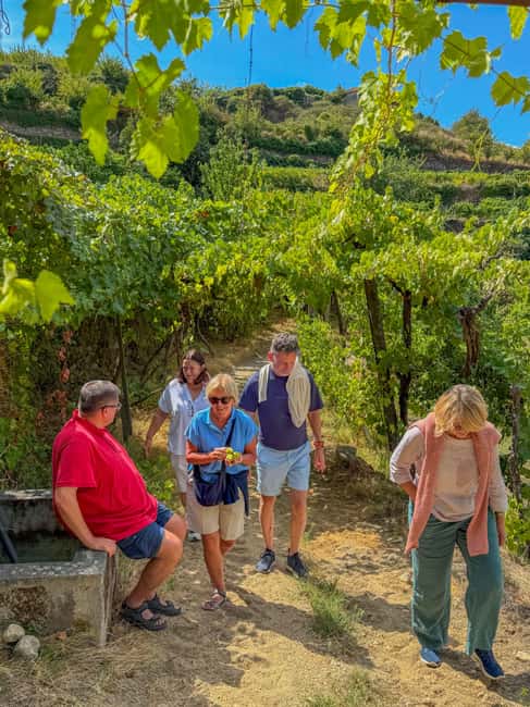 Douro Valley: Olive Oil & Wine Tour with Boat & Lunch - Quinta de Santa Teresa brunch: the Vinho Verde start that sets the tone