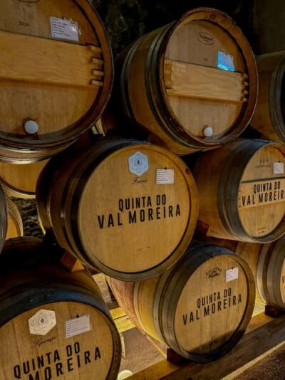 Douro Valley: Olive Oil & Wine Tour with Boat & Lunch - Pickup, van routes, and the reality of an 8-hour day