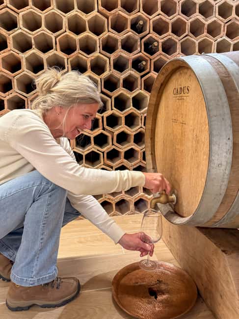 Douro Valley: Olive Oil & Wine Tour with Boat & Lunch - Pinhão rabelo boat cruise: a 1-hour reset between tastings