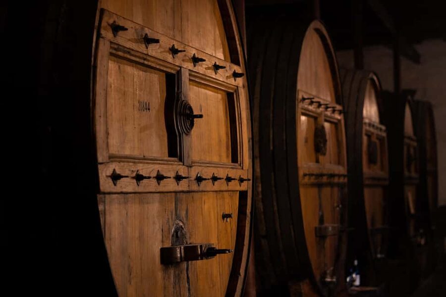 Douro Valley: Private Lunch with Wine & Olive Oil Tasting - The Port wine cellar: where vintages wait quietly