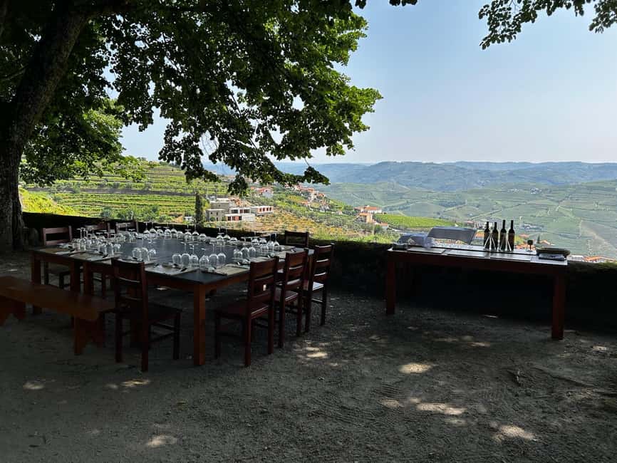 Douro Valley: Private Lunch with Wine & Olive Oil Tasting - Wine and olive oil tasting: what you’ll actually learn from the pours