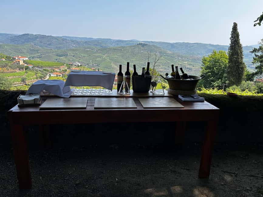 Douro Valley: Private Tour & Guided Wine & Olive Oil Tasting - Inside the Port cellar: vintages, storage, and the logic behind the wines