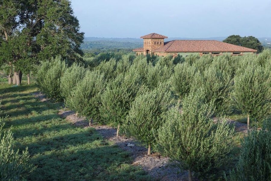 Dripping Springs: Olive Oil and Balsamic Vinegar Tasting - Value check: is $25 per person a good deal?