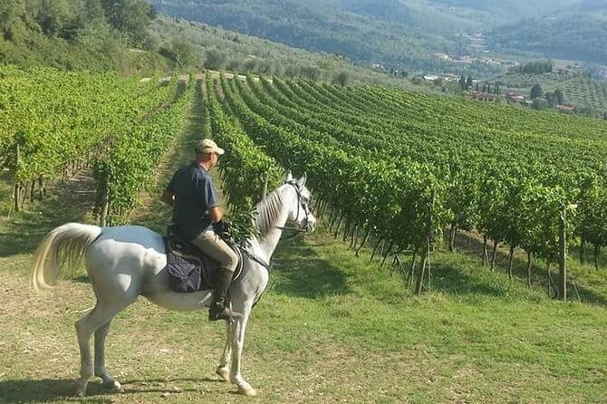 E-bike 2.5 hour Florence & Tuscany With Fresh Olive Oil and Bread - Which Type of Traveler Should Book This?