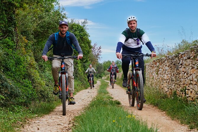 E Bike Tour with wine and olive oil tasting in Vodnjan - Price and value: what $76.93 buys you on this route