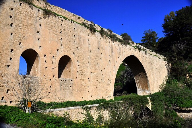 Ecobike-Knossos Palace-Wine tasting-Olive oil tasting - Riding to Knossos with a local guide: what to expect