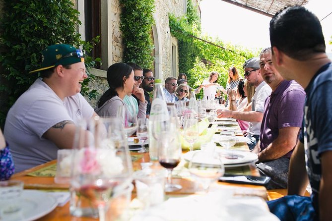 Educational Olive Oil Tasting - Key Things That Make This Tasting Worth Your Time