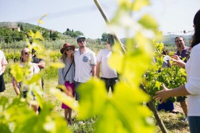Educational Olive Oil Tasting - Inside the Estate: Chapel (1625) and the Old Olive-Mill Feel