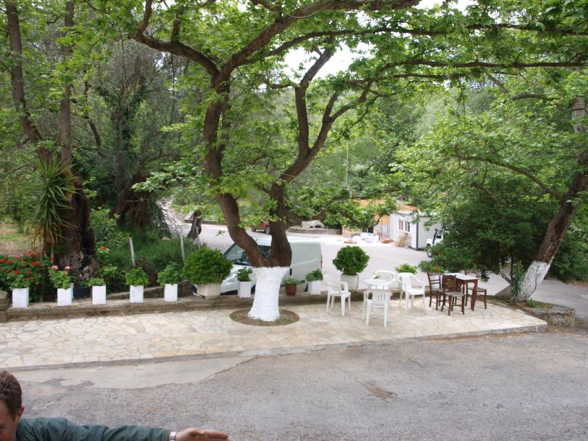 Explore the Secrets of Wine and Olives in Chania - How the 9:00am start shapes your day