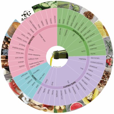 Extra Virgin Olive Oil Experience with Wine & Herbs - The 40-Minute Itinerary: What You Actually Do
