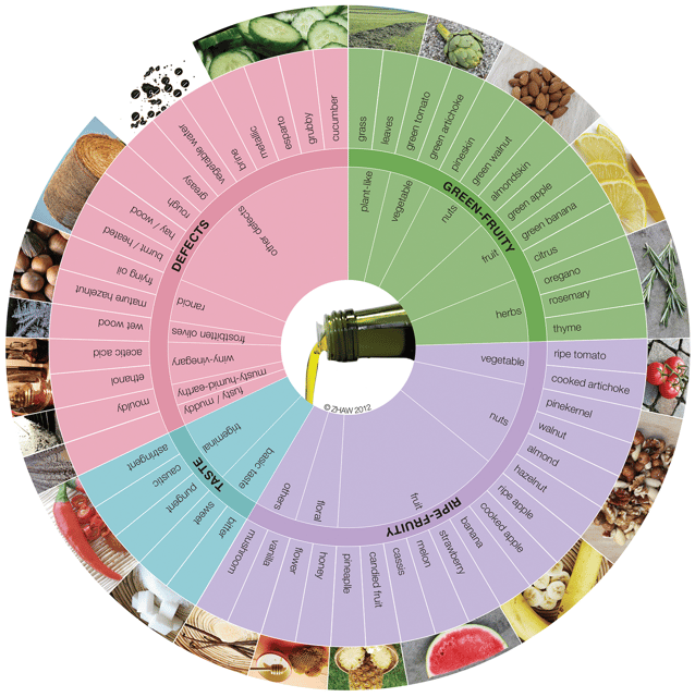 Extra Virgin Olive Oil Experience with Wine & Herbs - The 40-Minute Itinerary: What You Actually Do