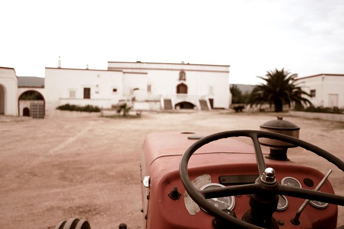Extra virgin Savoy Tour and olive oil tasting - FASANO - Key highlights at a glance