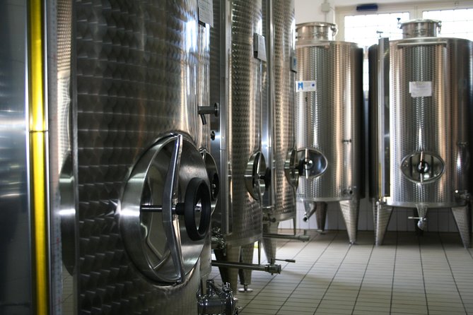 Extra virgin Savoy Tour and olive oil tasting - FASANO - Hypogeum (underground spaces): where tradition becomes physical