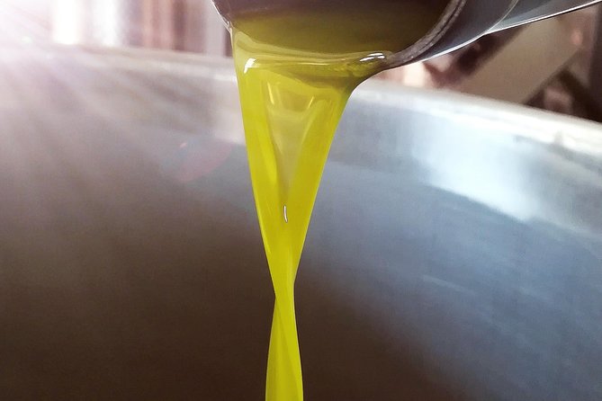 Extra virgin Savoy Tour and olive oil tasting - FASANO - Modern oil mill: seeing today’s processing without losing the plot