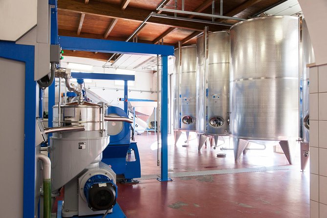 Extra virgin Savoy Tour and olive oil tasting - FASANO - Storage room lessons: keep your EVOO tasting alive