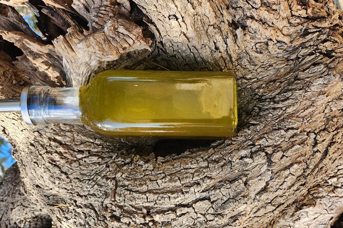 extravirgin olive oil tasting,the story of a farm - Price and value: what $61.95 gets you (and why it can feel fair)
