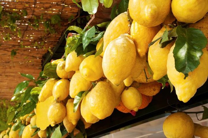 Farm-to-Table Experience: Olive Oil, Garden Tour & Nonna’s Lunch - Inside a Working Family Farm: What you’ll see and why it’s worth it