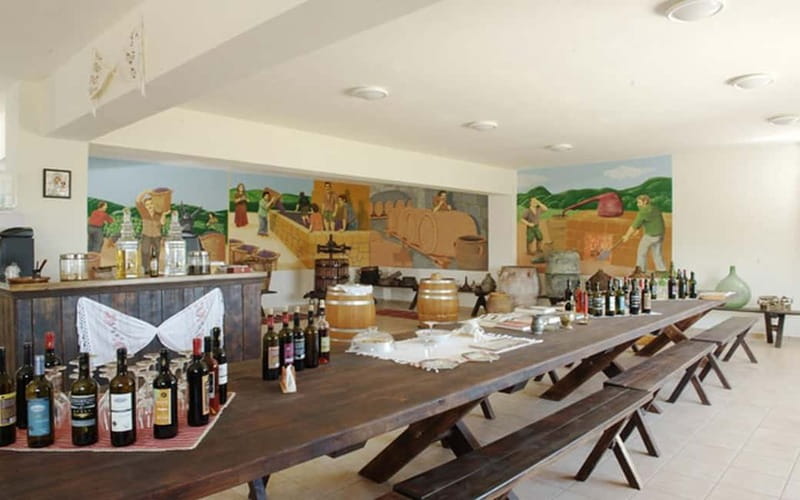 Flavors of Crete from Chania: Wine & Olive Oil Tasting Tour - The winery stop: museum context plus a tasting you can control