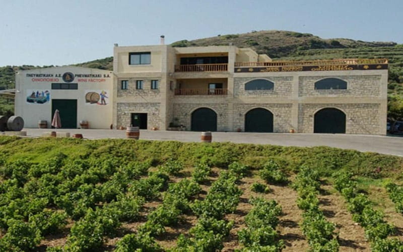 Flavors of Crete from Chania: Wine & Olive Oil Tasting Tour - Timing and logistics: how the day really flows
