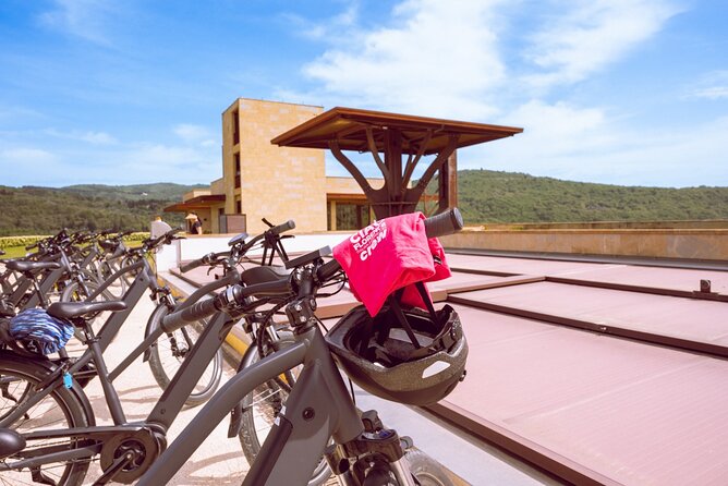 Florence: E-Bike tour to Fiesole with optional Pool or Olive Oil - Morning option: olive oil tasting on an estate in the hills