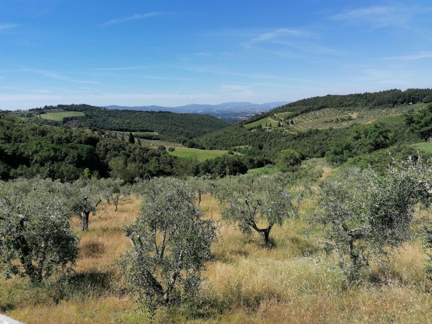 Florence: E-Bike Tour with Olive Oil in the Tuscan Hills - Who Should Book This E-Bike + Olive Oil Experience