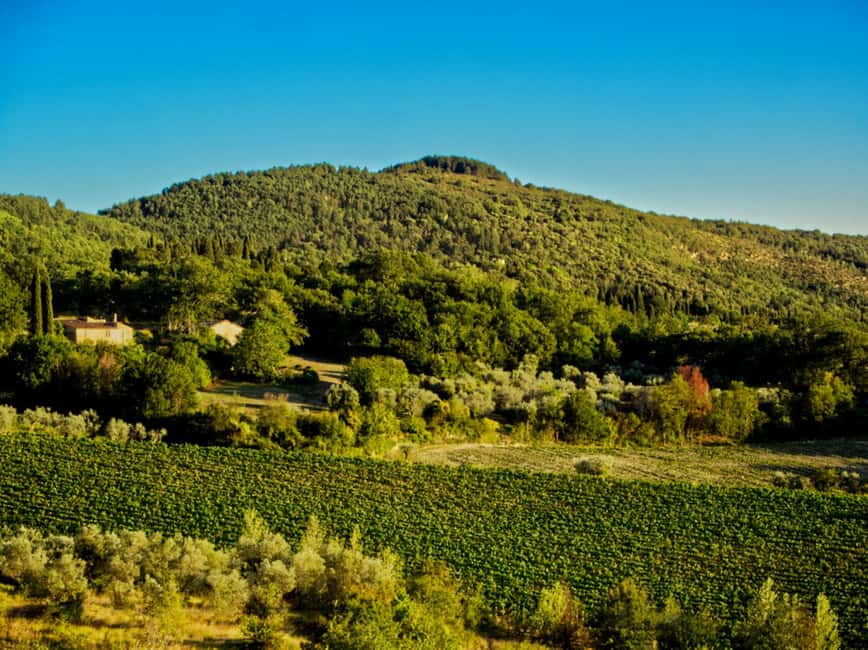 Florence: Fiesole E-Bike Tour with Olive Oil Tasting - Who Should Book, and Who Might Want Another Option