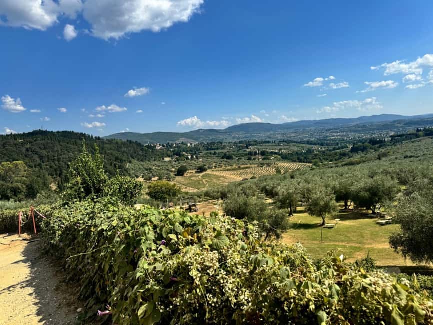 Florence: Fiesole E-Bike Tour with Olive Oil Tasting - FAQ
