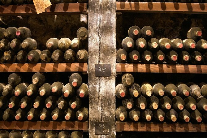 Florence: Great Chianti Wine and Olive Oil Trail with Lunch - The Wine Coaching: Turning Tastings Into Skills
