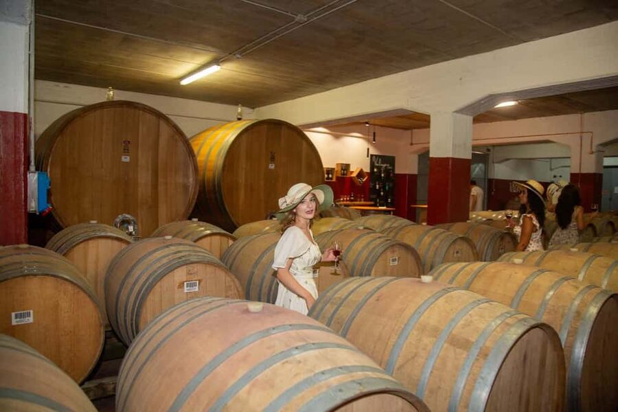 Florence: The secret of wine, cheese and olive oil at a farm - A Chianti Farm Day That Actually Teaches You Something