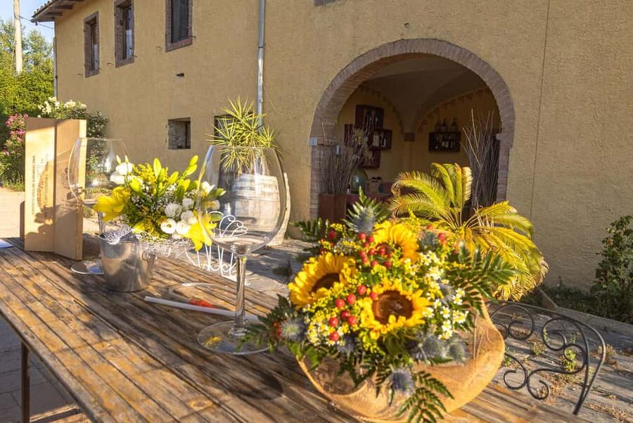 Florence: The secret of wine, cheese and olive oil at a farm - Price and Value: Is $94 Worth It?