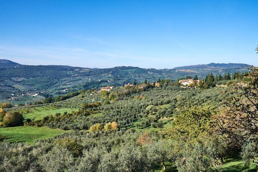 Florence: Vintage Fiat 500 Tour with Wine Tasting at Winery - The countryside drive: what those 70 minutes feel like