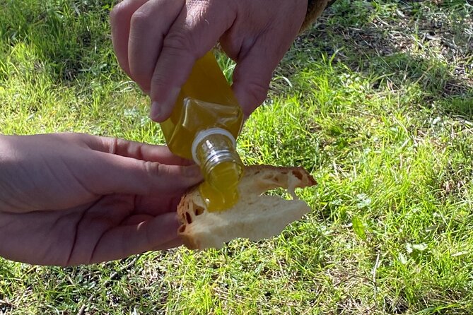Food and Wine Tour between the Patriarchs Olives and the Oil Temples - Cooking cialledda in the lab: why this stop matters