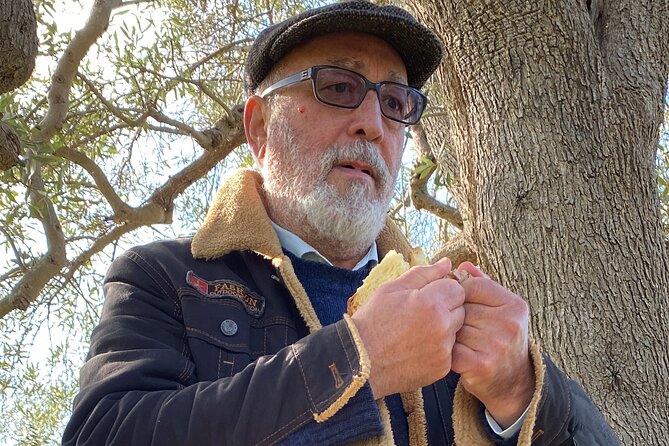 Food and Wine Tour between the Patriarchs Olives and the Oil Temples - What’s actually in your meal: bread, salad-style ingredients, and local proteins