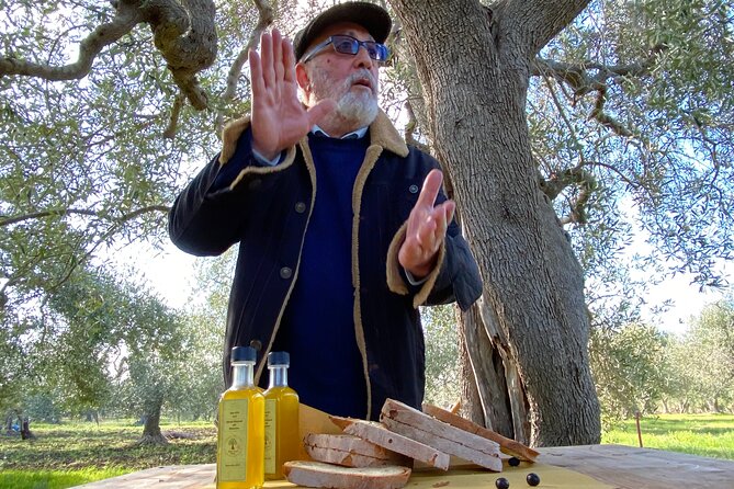 Food and Wine Tour between the Patriarchs Olives and the Oil Temples - Price and value at about $50.41 per person