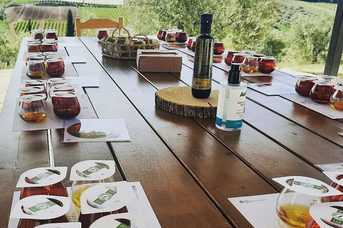 From Athens: Olive Oil Tasting, Olive Grove & Wine Experience - Wine tasting and regional snacks: why they fit this day