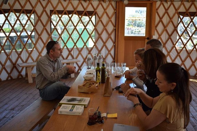From Athens: Olive Oil Tasting, Olive Grove & Wine Experience - Price and logistics: is $492.53 good value?