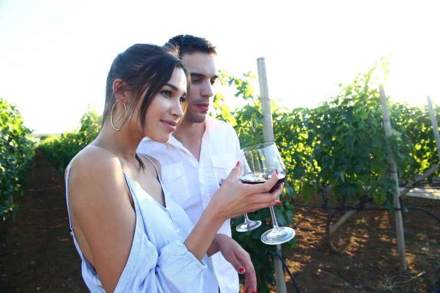 From Biograd: Wine and Olive Oil Tasting in Ražnjevića Dvori - Key things to know before you go