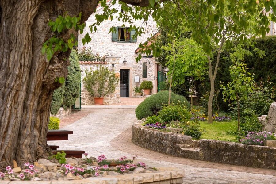 From Biograd: Wine and Olive Oil Tasting in Ražnjevića Dvori - Olive oil tasting: 2000-year tradition plus the bottle you take home