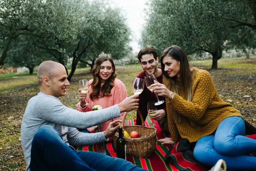 From Biograd: Wine and Olive Oil Tasting in Ražnjevića Dvori - What the tour includes (and what you should plan for)