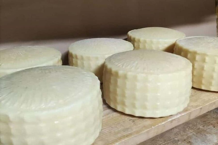 From Chania: Olive Oil, Wine, Cheese & Honey Tasting Tour - Key highlights you’ll actually feel