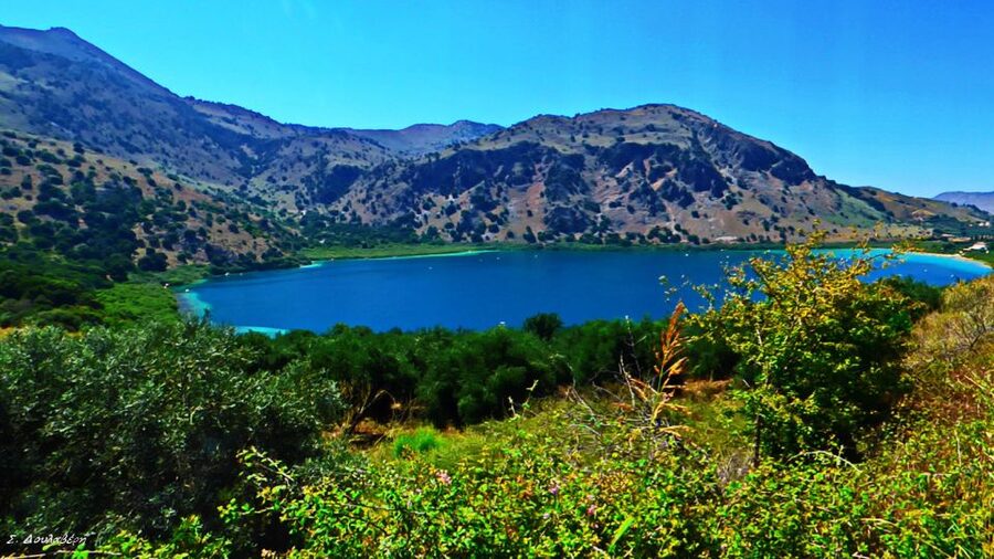 From Chania: Rethymno, Lake Kournas & Olive Oil Tasting Tour - Pedal boats and turtle-watching: the fun side of the lake