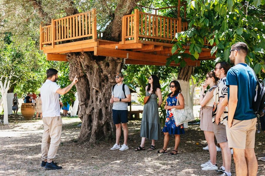 From Chania: Wine and Olive Oil Tasting Tour with Snacks - Key Things That Make This Tour Worth It