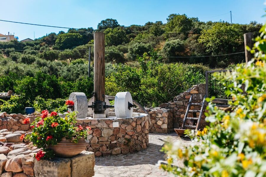 From Chania: Wine and Olive Oil Tasting Tour with Snacks - Who This Tour Fits Best (And Who Might Skip It)
