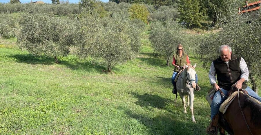 From Florence: Horseback Ride and Olive Oil and food tasting - Key highlights worth your attention
