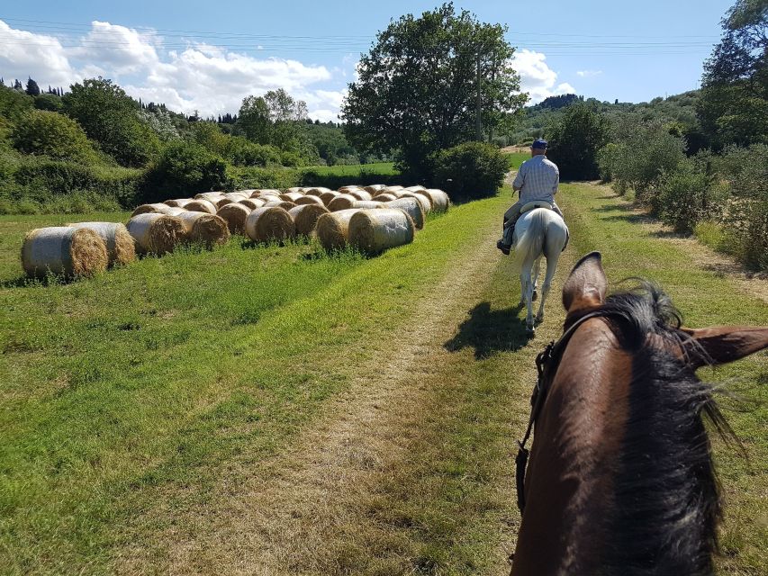 From Florence: Horseback Ride and Olive Oil and food tasting - From Florence to Chianti: the smart way to get out of town