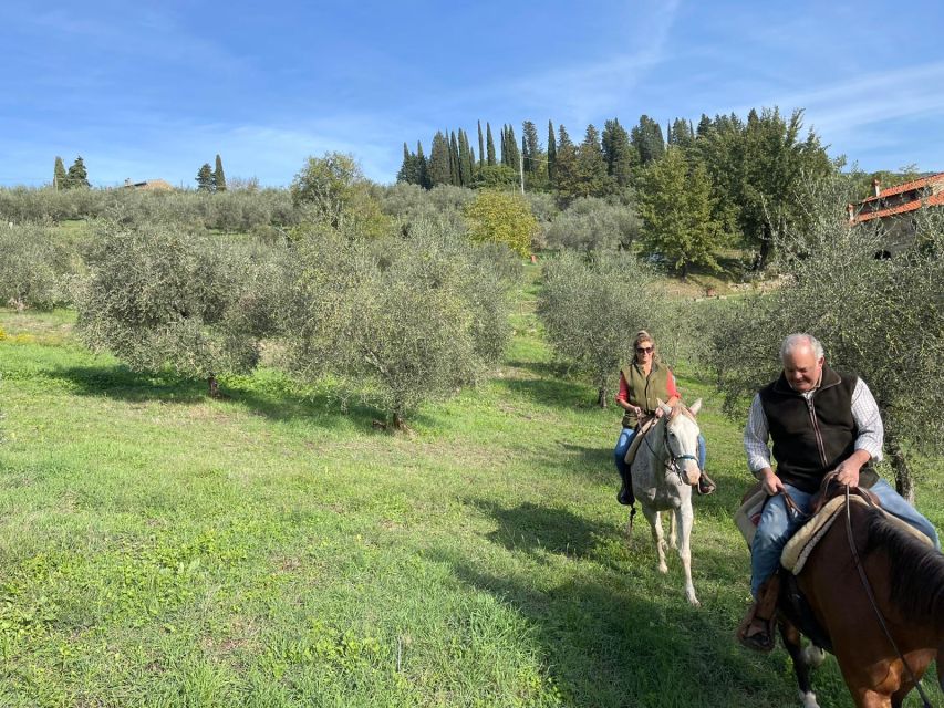 From Florence: Horseback Ride and Olive Oil and food tasting - The olive estate visit: from medieval rooms to working presses