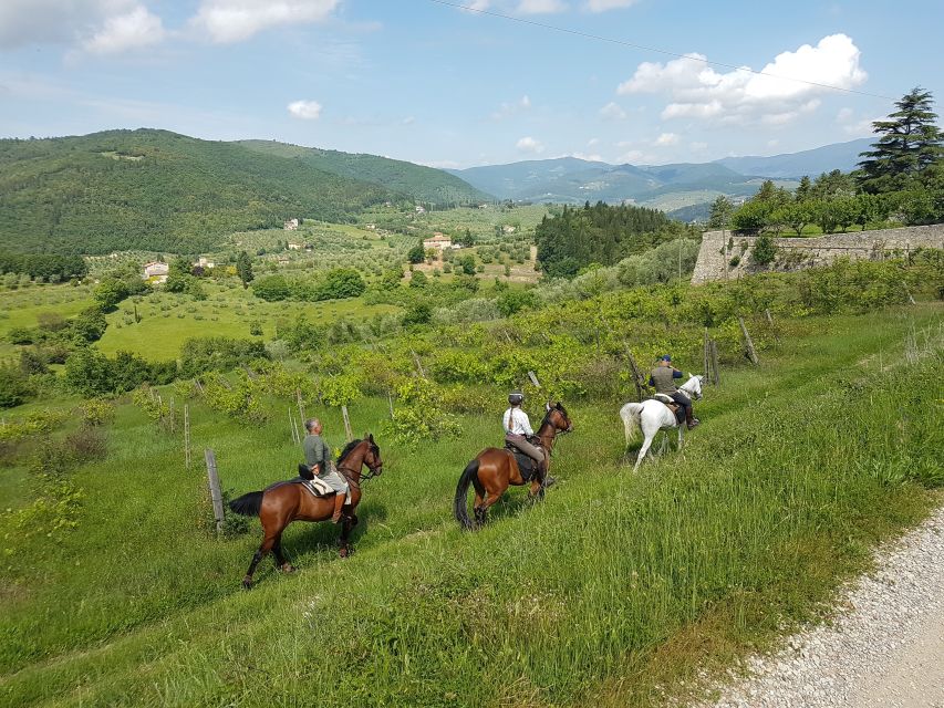 From Florence: Horseback Ride and Olive Oil and food tasting - Price and value: is $377 a fair deal?